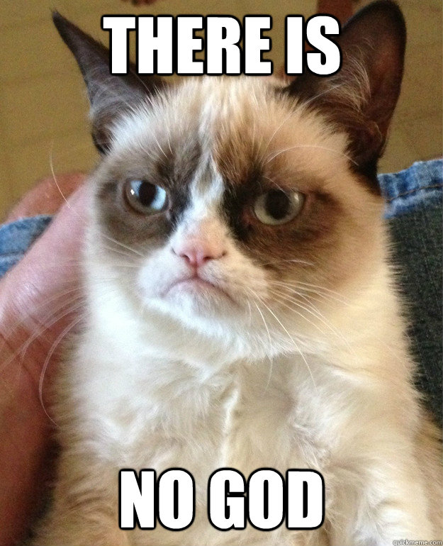 There Is No God Grumpy Cat Quickmeme