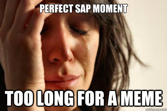 Perfect SAP moment Too long for a meme - First World Problems - quickmeme