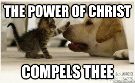 the power of christ compels thee - Faith healing cat - quickmeme