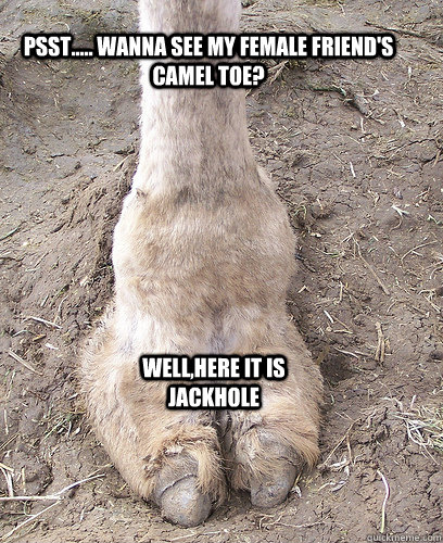 psst..... wanna see my female friend's camel toe? well,here it is jackhole  - camel toe - quickmeme