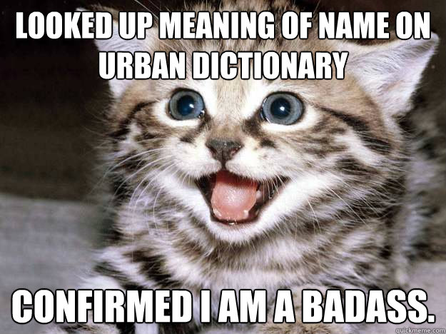Looked up meaning of name on urban dictionary Confirmed i am a badass. -  Kitten OMG - quickmeme
