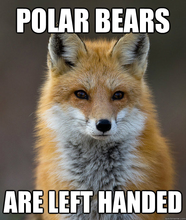 Polar bears are left handed - Fun Fact Fox - quickmeme