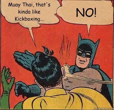 Muay Thai, that's kinda like Kickboxing... NO! - Batman Slapping Robin -  quickmeme