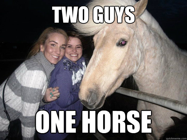 2 Guyd 1 Horse