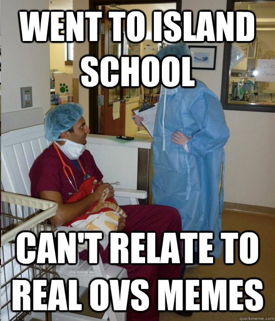 Went to island school Can't relate to real OVS memes - Overworked  Veterinary Student - quickmeme