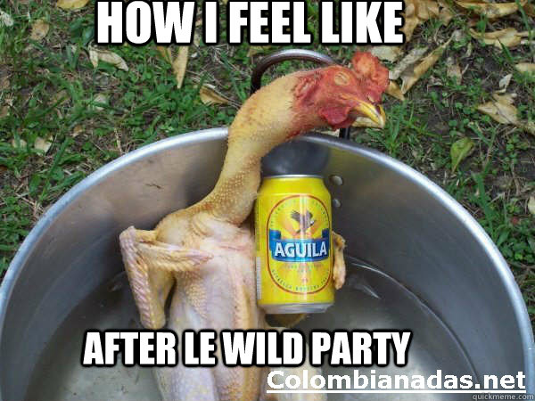 how i feel like AFTER LE WILD PARTY - LE DRUNK CHICKEN - quickmeme
