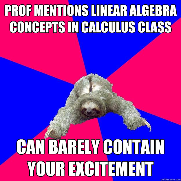 prof mentions linear algebra concepts in calculus class can barely contain  your excitement - Math Major Sloth - quickmeme