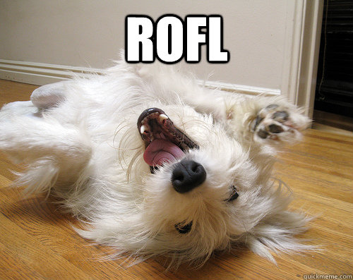 Afbeeldingsresultaat voor rofl dog
