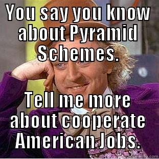 You say Network Marketing is a pyramid scheme. - quickmeme