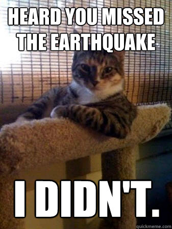 Heard you missed the earthquake I didn't. - The Most Interesting Cat in the  World - quickmeme