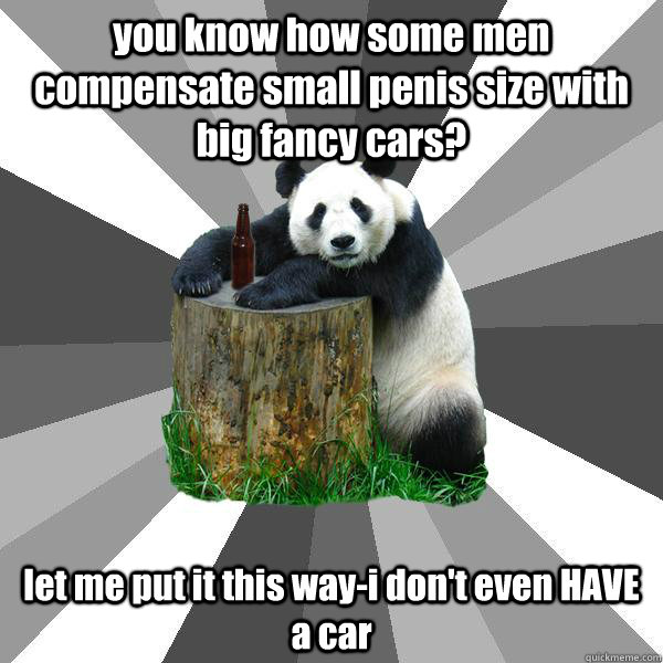 media pack af hebben you know how some men compensate small penis size with big fancy cars? let  me put it this way-i don't even HAVE a car - Pickup-Line Panda - quickmeme