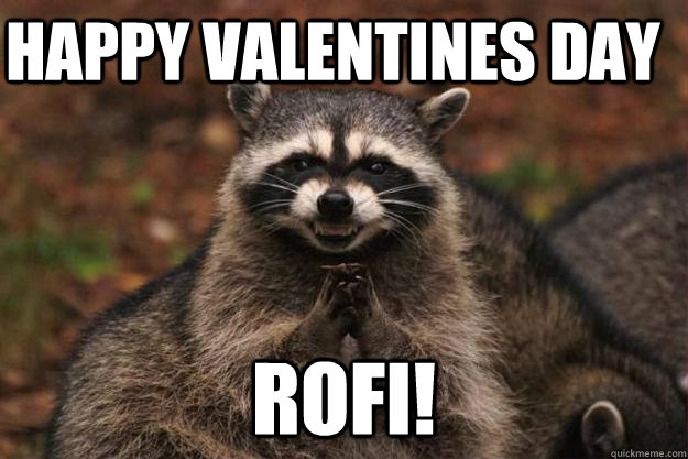 happy valentines day Rofi! - Evil Plotting Raccoon - quickmeme