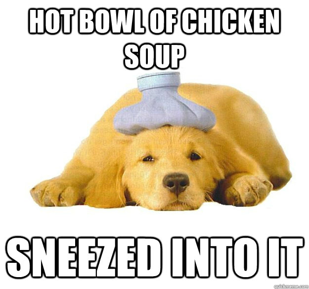 Hot bowl of chicken soup sneezed into it - Sick As A Dog - quickmeme