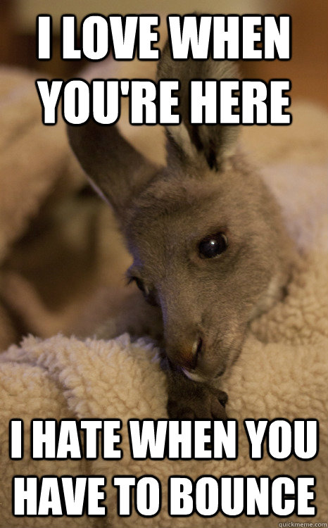 I love when you're here I hate when you have to bounce - Lonely Kangaroo - quickmeme I love when you're here I hate when you have to bounce - Lonely Kangaroo - quickmeme