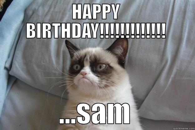 happy birthday sam - quickmeme