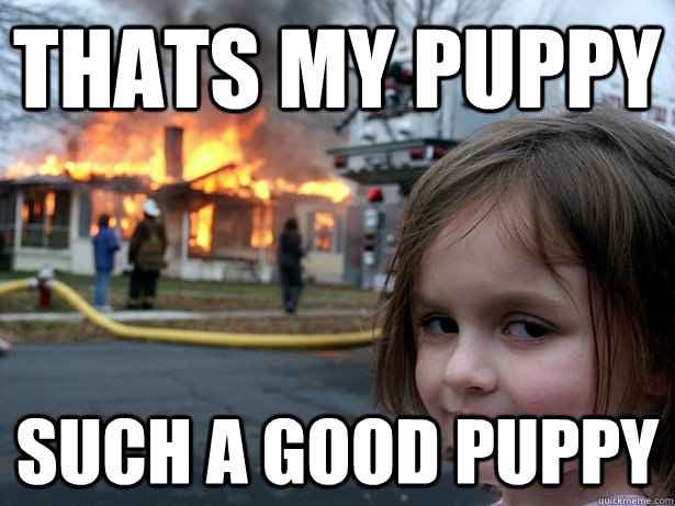 Thats My Puppy Such A Good Puppy Disaster Girl Quickmeme