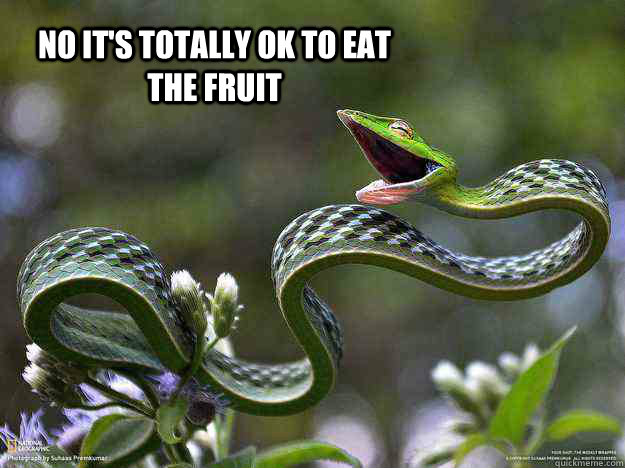 no it's totally ok to eat the fruit - Liar snake - quickmeme