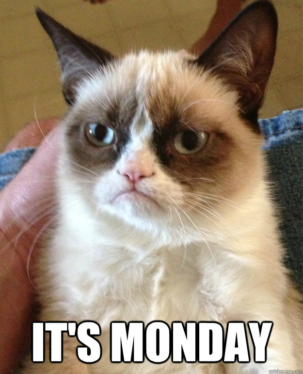It's Monday - Grumpy Cat - quickmeme