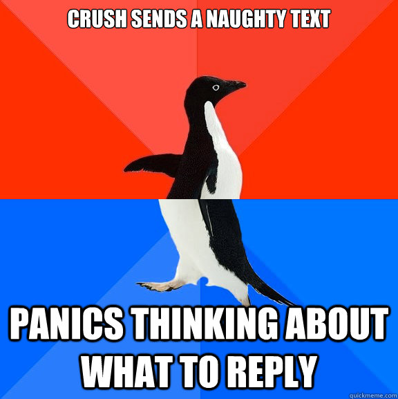 Crush sends a naughty text Panics thinking about what to reply - Socially  Awesome Awkward Penguin - quickmeme