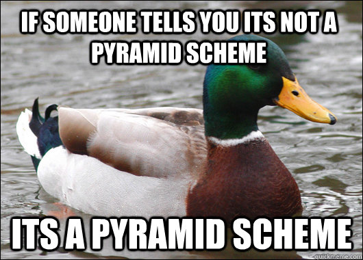 If someone tells you its not a pyramid scheme its a pyramid scheme - Actual  Advice Mallard - quickmeme