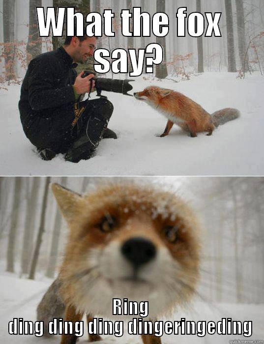 eer merk op Berekening What the fox say? - quickmeme