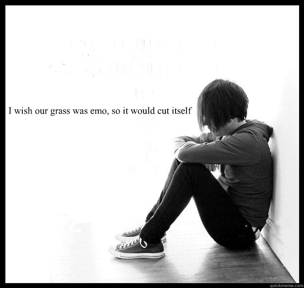 I Wish Our Grass Was Emo So It Would Cut Itself Sad Youth