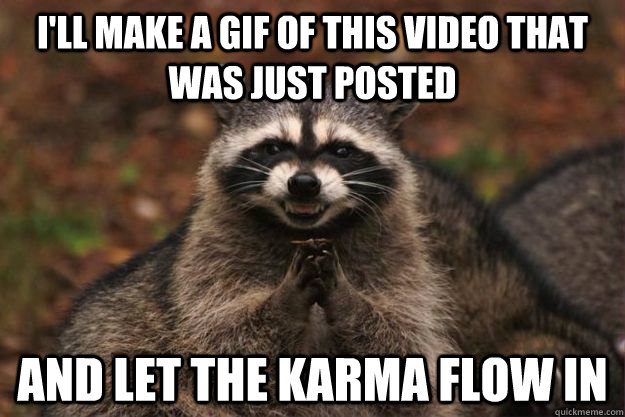 I'll make a gif of this video that was just posted and let the karma flow  in - Evil Plotting Raccoon - quickmeme