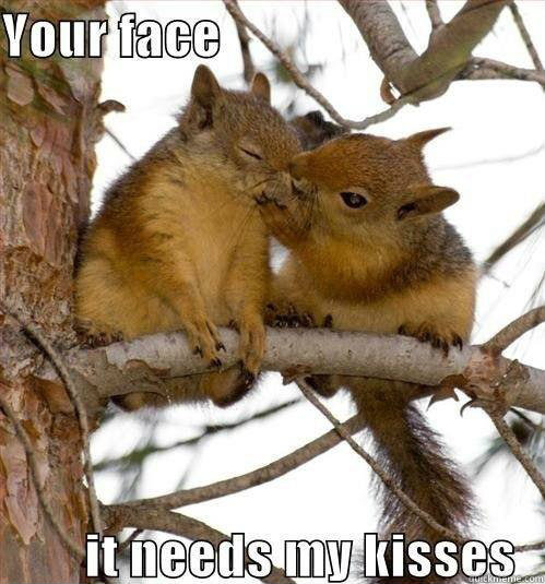 Untitled - Your face it needs my kisses - quickmeme