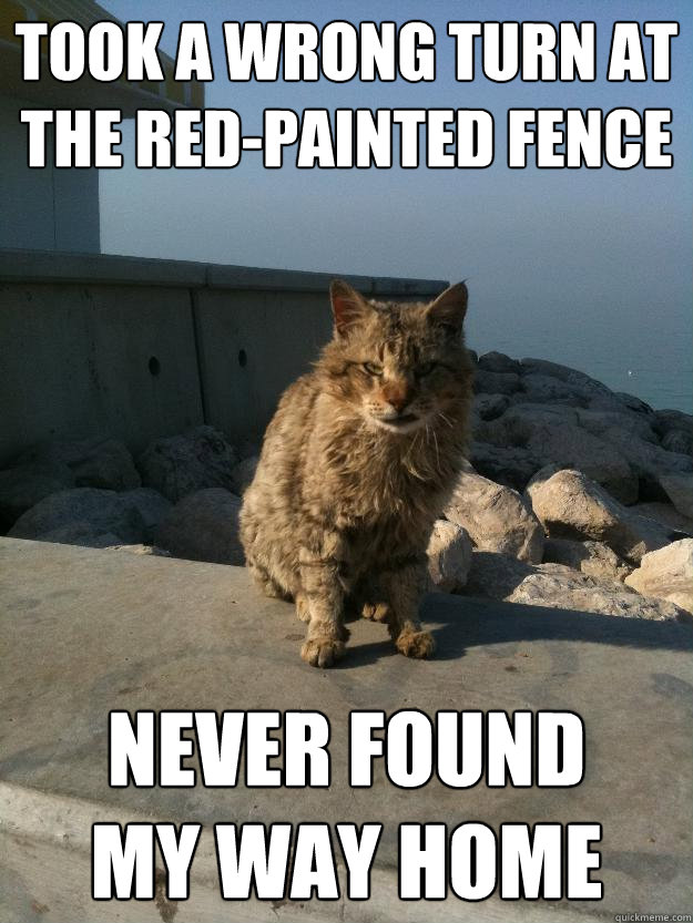 took a wrong turn at the red-painted fence never found my way home - Bitter  Cat - quickmeme