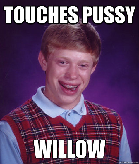 Touches pussy Willow - Bad Luck Brian - quickmeme