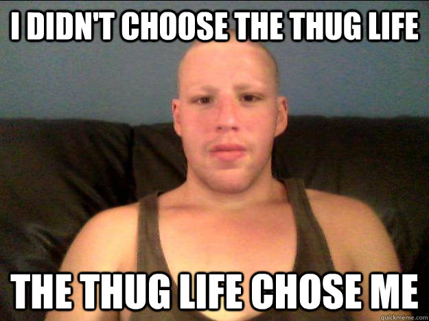 I didn't choose the thug life the thug life chose me - Misc - quickmeme