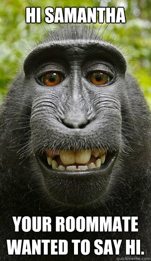 HI Samantha your roommate wanted to say hi. - Mindful Macaque - quickmeme