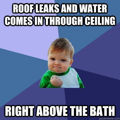 Roof Leaks And Water Comes In Through Ceiling Right Above