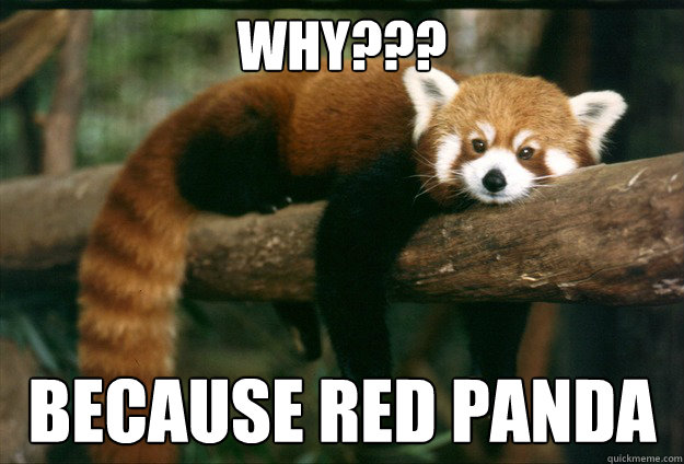 Why??? Because Red Panda - Red panda