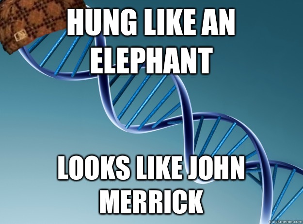 Hung Like An Elephant