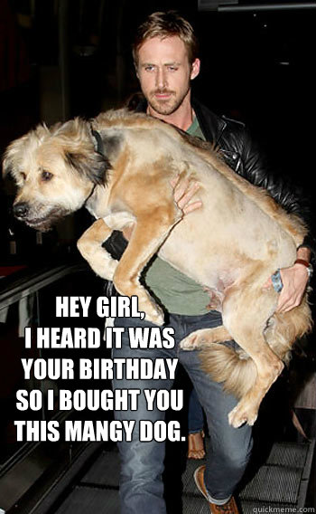 Hey Girl, I heard it was your birthday so I bought you this Mangy dog. -  Hey girl happy birthday - quickmeme