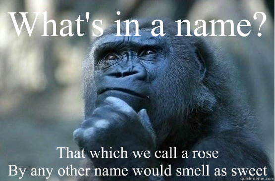 What's in a name? That which we call a rose By any other name would smell  as sweet - Apeuliet - quickmeme