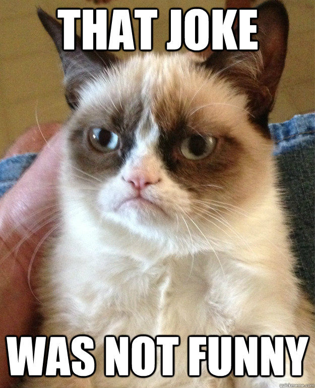 That Joke was not funny - Grumpy Cat - quickmeme
