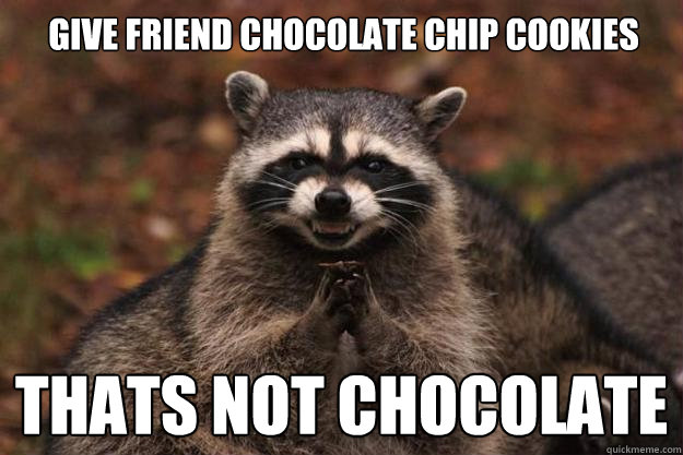 Give friend chocolate chip cookies thats not chocolate - Evil Plotting  Raccoon - quickmeme