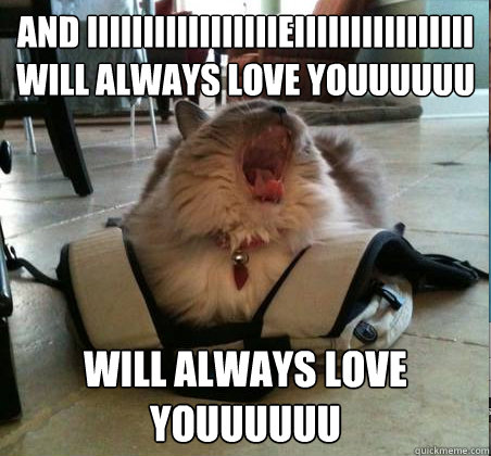 AND IIIIIIIIIIIIIIIIIEIIIIIIIIIIIIIIII WILL ALWAYS LOVE YOUUUUUU WILL  ALWAYS LOVE YOUUUUUU - Always Love You Cat - quickmeme