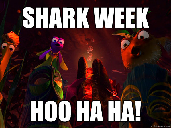 Shark Week Hoo Ha Ha Finding Nemo Shark Bait Quickmeme