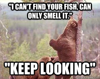 I can't find your fish, can only smell it. keep looking - fishy