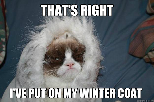 that's right i've put on my winter coat - Cold Grumpy Cat - quickmeme