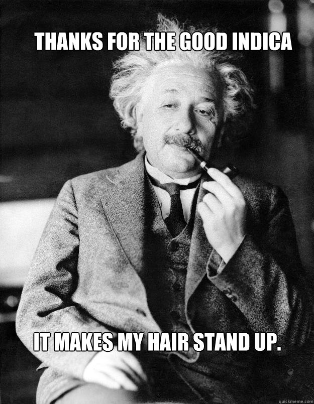 Thanks for the good indica It makes my hair stand up. - Einstein - quickmeme