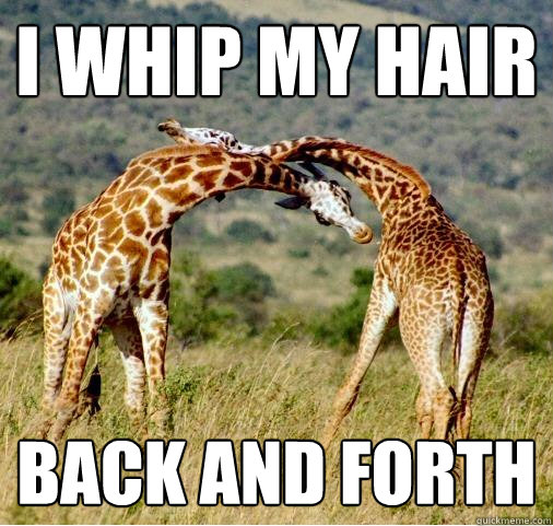 I whip my hair back and forth - I whip my hair - quickmeme