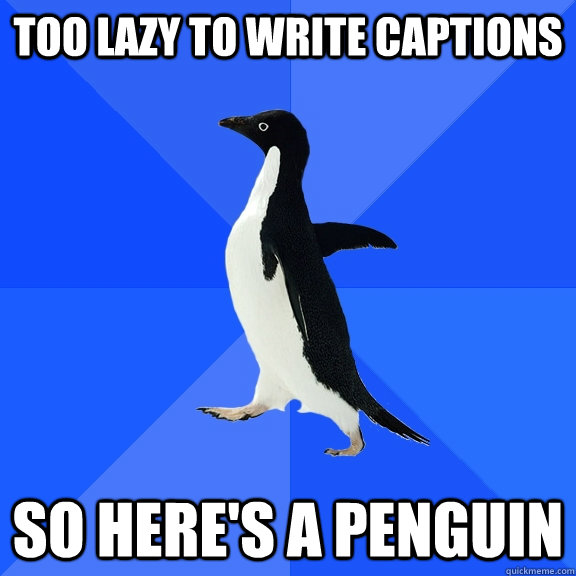 TOO LAZY TO WRITE CAPTIONS SO HERE'S A PENGUIN - Socially Awkward Penguin -  quickmeme