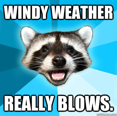 Windy weather really blows. - Lame Pun Coon - quickmeme