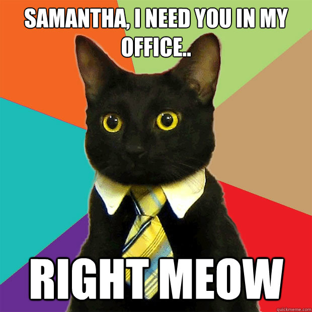Samantha, I need you in my office.. Right Meow - Business Cat - quickmeme