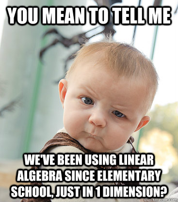 you mean to tell me we've been using linear algebra since elementary  school, just in 1 dimension? - skeptical baby - quickmeme