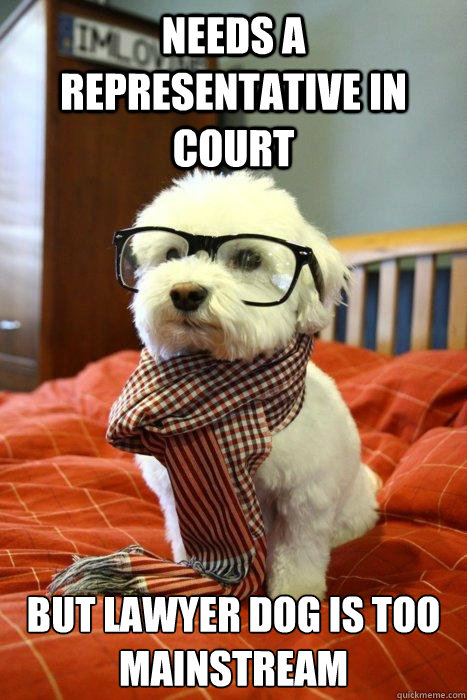 needs a representative in court But lawyer dog is too mainstream - Hipster  Dog - quickmeme